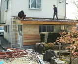 ��̳������ۡ���������