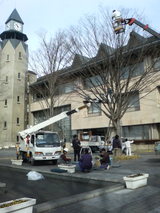 ����ߥ͡�������곰��