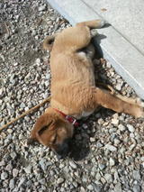 �Ҥʤ��ܤä�