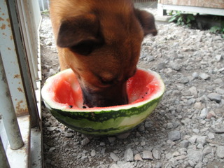 �ƤϤ�äѤꥹ��������