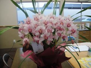 ���ǽ����Τ��줷�������