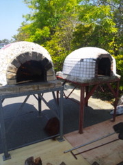 �ܸͥ��٥�ȥܥ��ƥ���