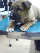 �������±���