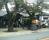 �뻡����  ����