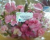 ���ա�����