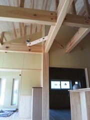 ����š�μ�������