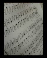 �ӥ��ΤΥ�å���