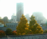 ���������鸫��������