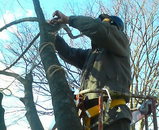 ����ߥ͡���������դ����