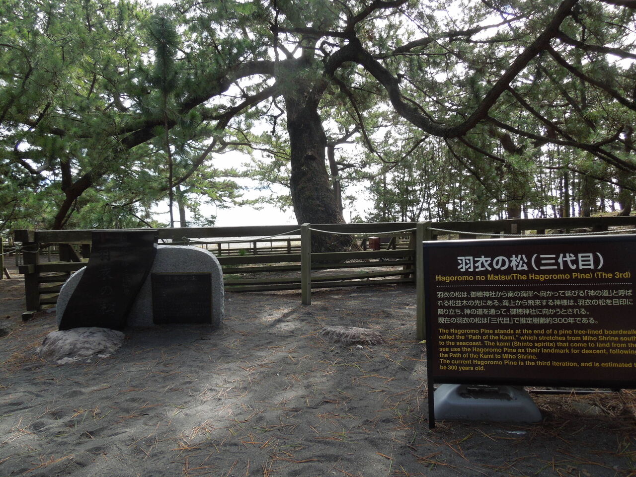 富士山が望める 三保の松原 の旅 かずタビ 富士山が望める 三保の松原 の旅 かずタビ