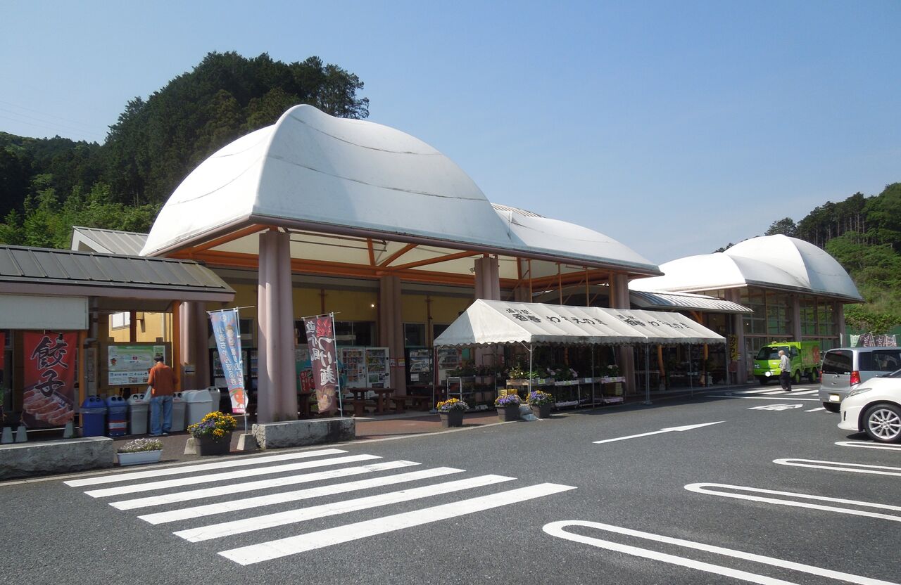 おばさん 後方トイレ 盗撮 