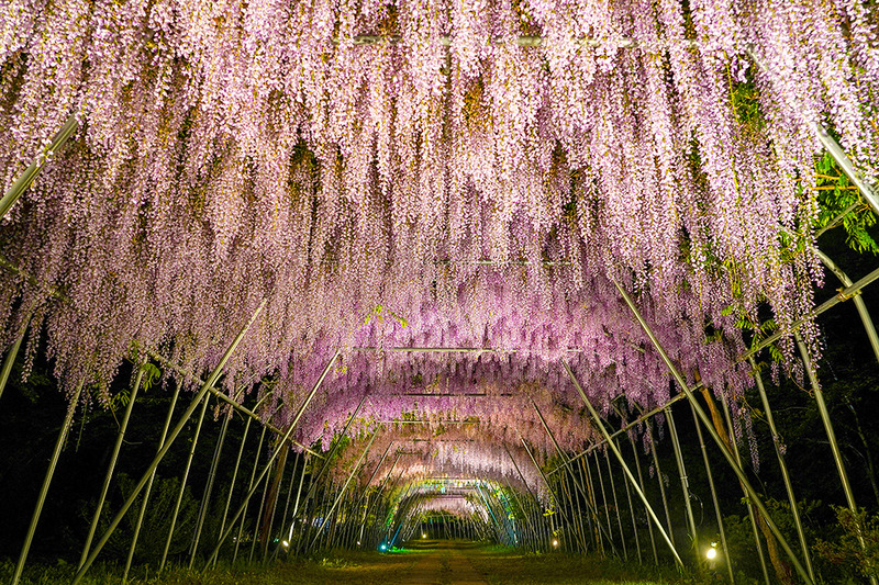 写真61