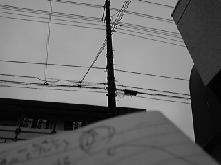 41de07b9.jpg