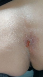 b20240228