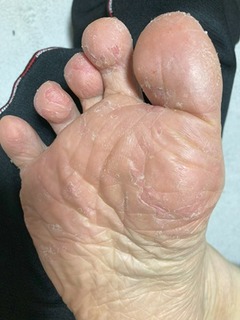 IMG_2526