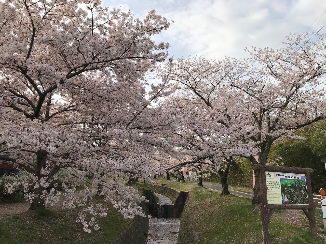 180401_開業12年目に突入しました