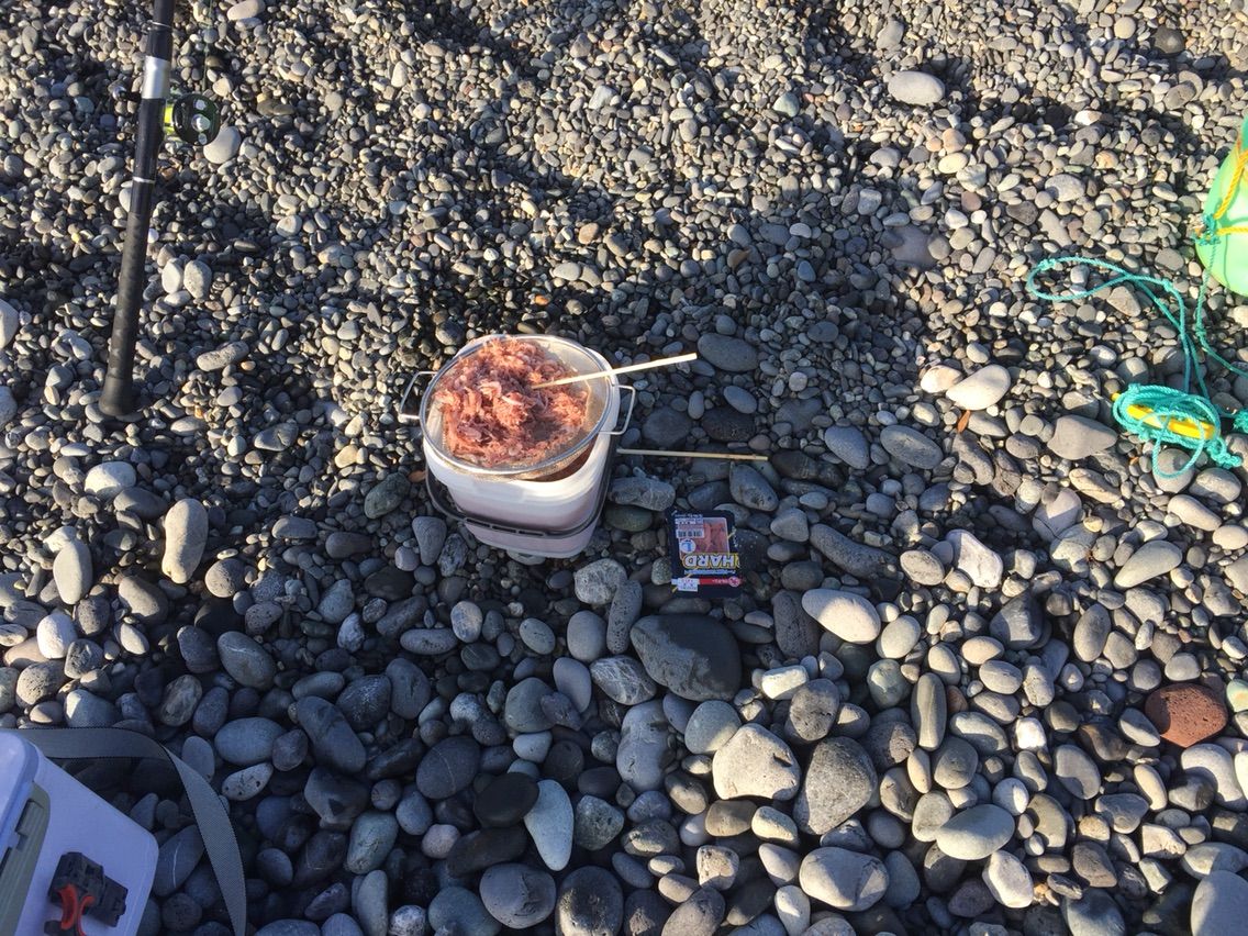 今年初 初夏の片浜の釣果はいかに 遠投かご釣り 沼津で釣り三昧 釣果情報公開です 今年初 初夏の片浜の釣果はいかに 遠投かご釣り 沼津で釣り三昧 釣果情報公開です