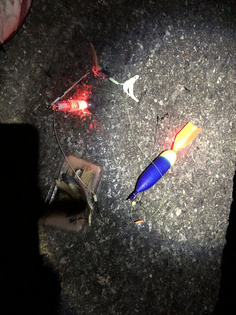 静浦港の太刀魚調査 この時期はやっぱり混んでますね 遠投かご釣り 沼津で釣り三昧 釣果情報公開です 静浦港の太刀魚調査 この時期はやっぱり混んでますね 遠投かご釣り 沼津で釣り三昧 釣果情報公開です