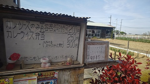 1776581756291