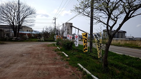 1745037555342