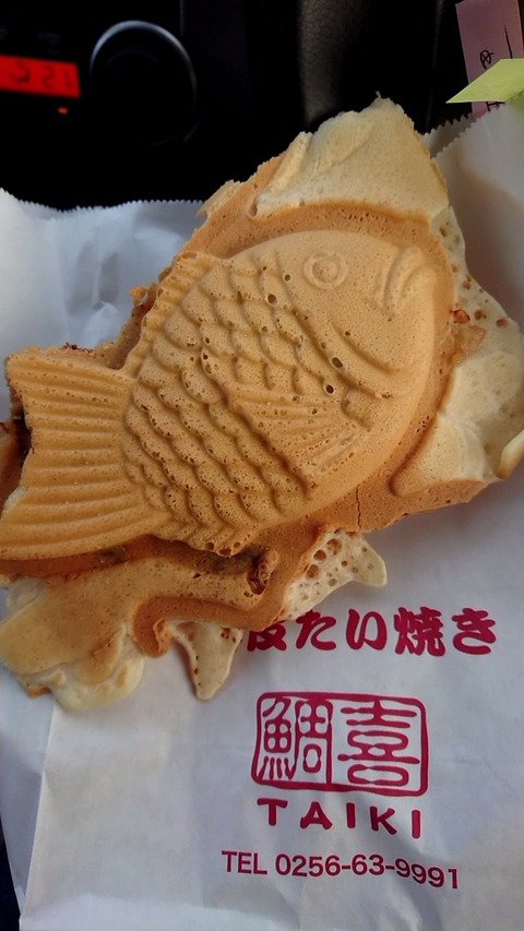 line_1578121080481_copied_1578121117142