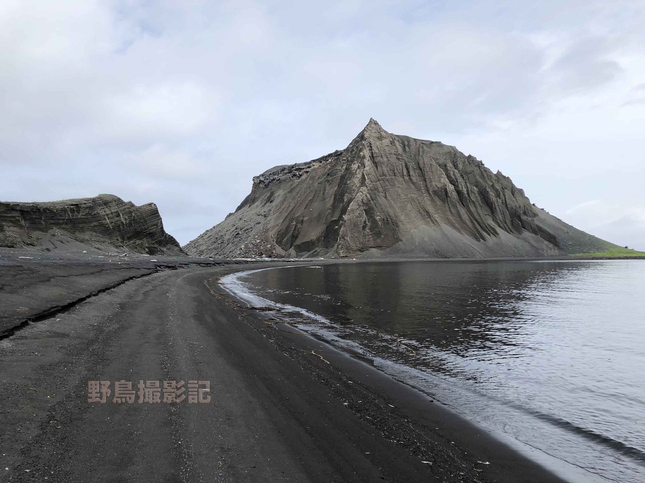 千島列島の旅 その 野鳥撮影記 千島列島の旅 その 野鳥撮影記
