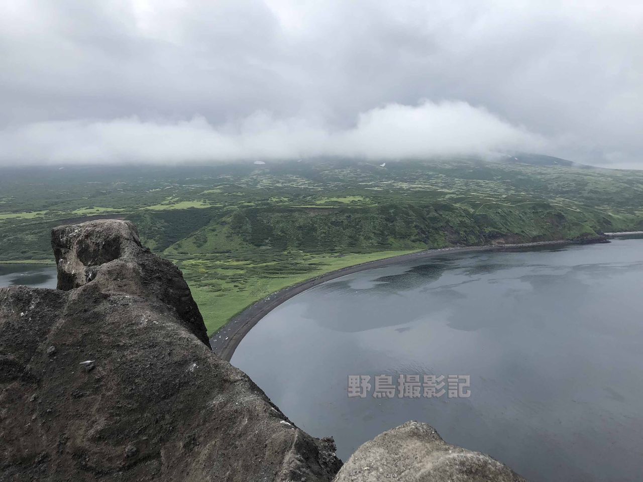 千島列島の旅 その 野鳥撮影記 千島列島の旅 その 野鳥撮影記
