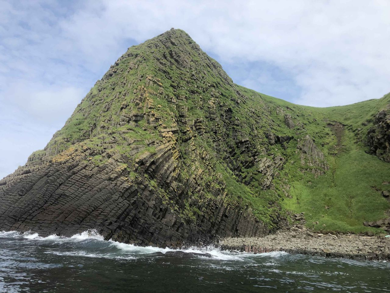 千島列島の旅 その 野鳥撮影記 千島列島の旅 その 野鳥撮影記