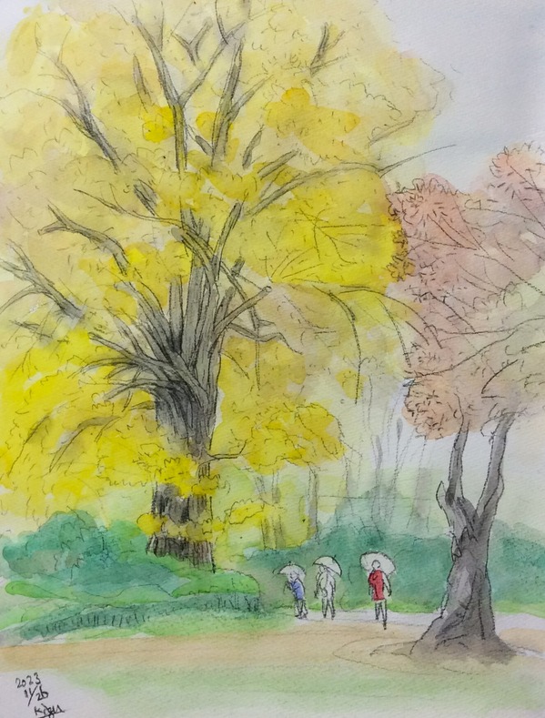 東京会 小石川植物園 2023.11.26