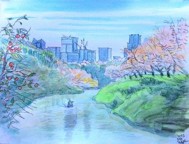 千鳥ヶ淵の秋 2023.11.19