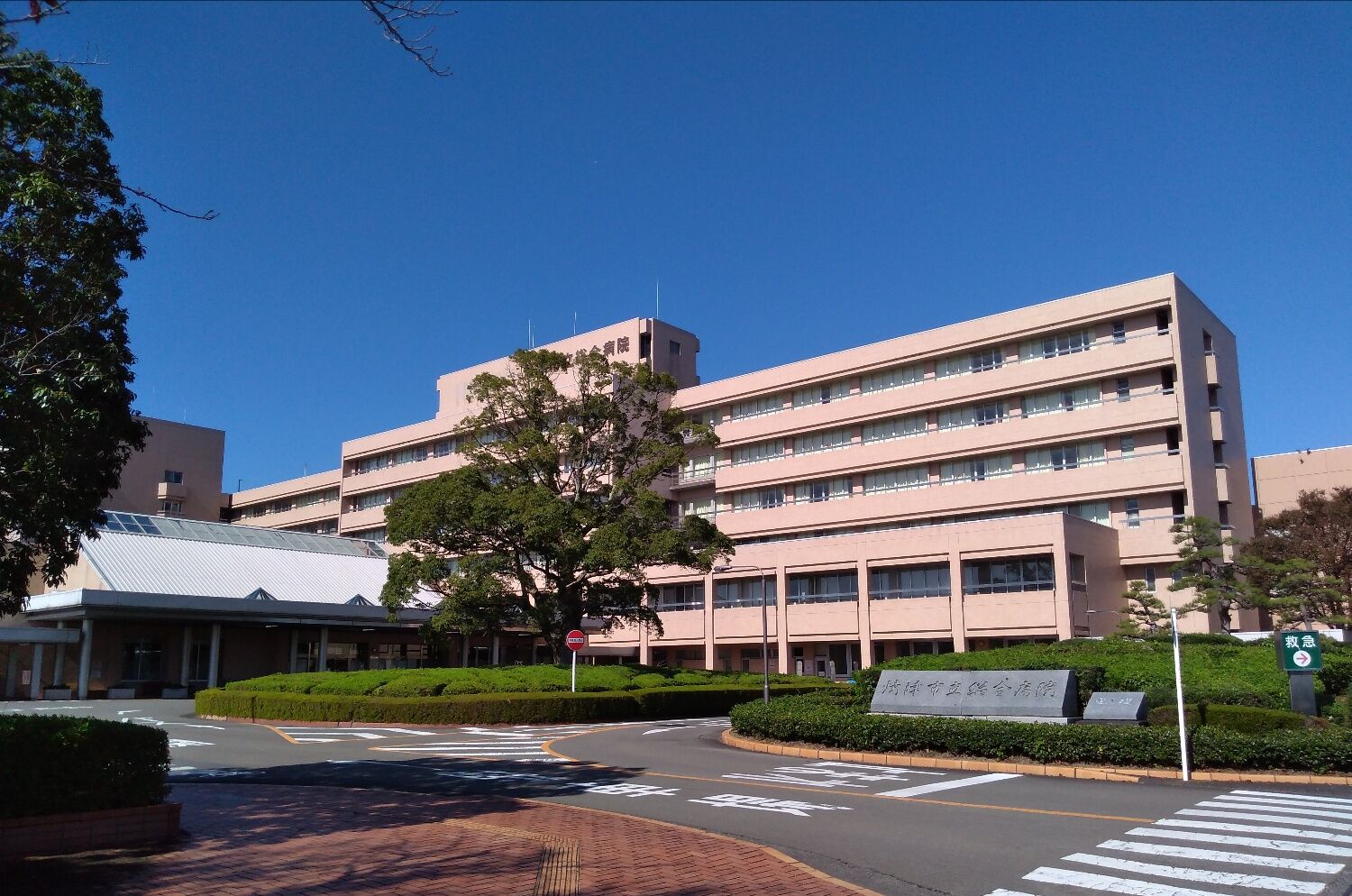 焼津市内 山小屋暮らし