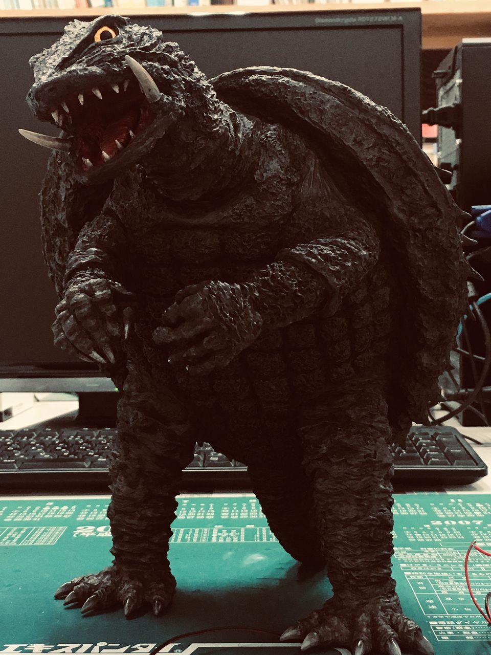 再入荷 ガメラ様 シャンプー Acersaecuador Com