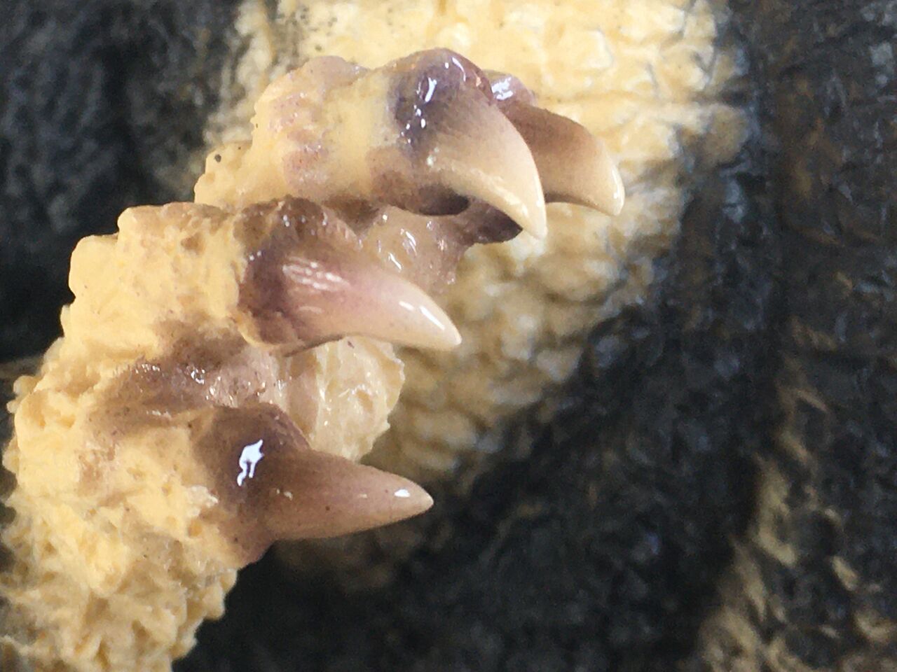 仁義なき闘い 網走激闘編！ その2｝ : HATED IN THE NATION