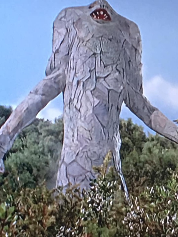 73043480_2509176509196660_3377456548069507072_n