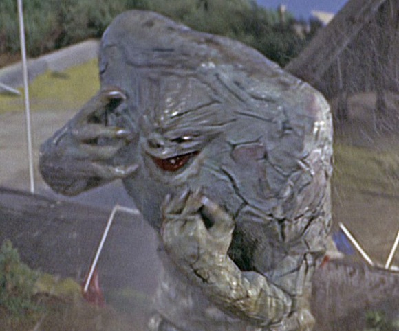 73513555_2688100471257253_3451719075237986304_n