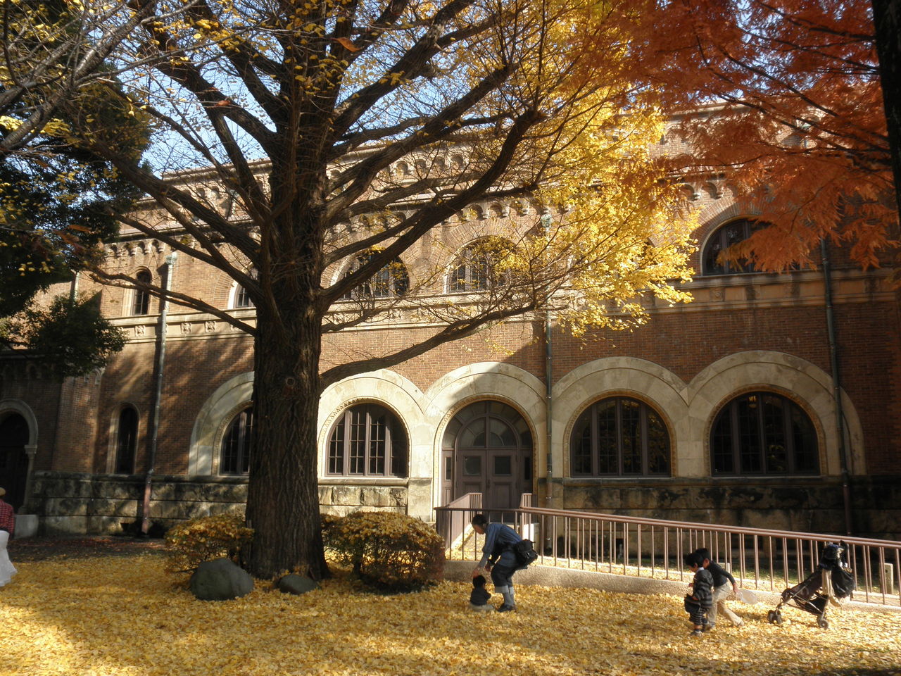 紅葉の美しいキャンパスで学会 吉本新奇劇 よしもと しんきげき