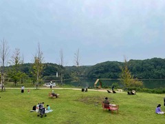 IMG_8953