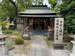IMG_4479