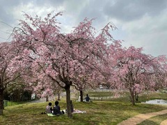 IMG_4753