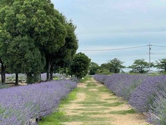 IMG_7443