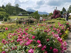 IMG_0233