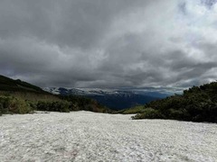 IMG_3693
