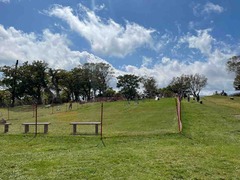 IMG_9338