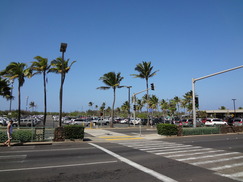 DSC00084