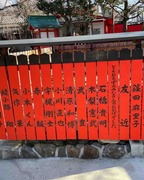 IMG_4631