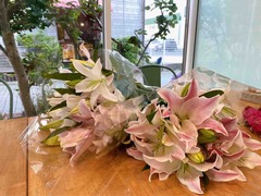 IMG_0385