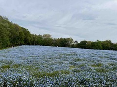 IMG_3647