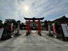 IMG_4478