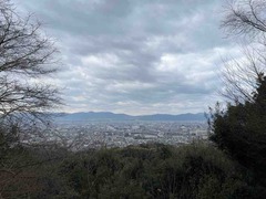 IMG_4475