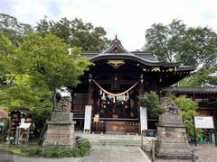 IMG_8845